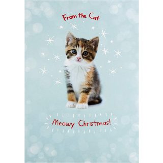 From Cat