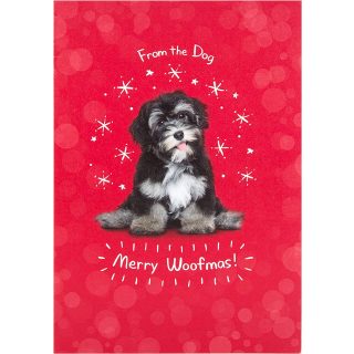 From Dog